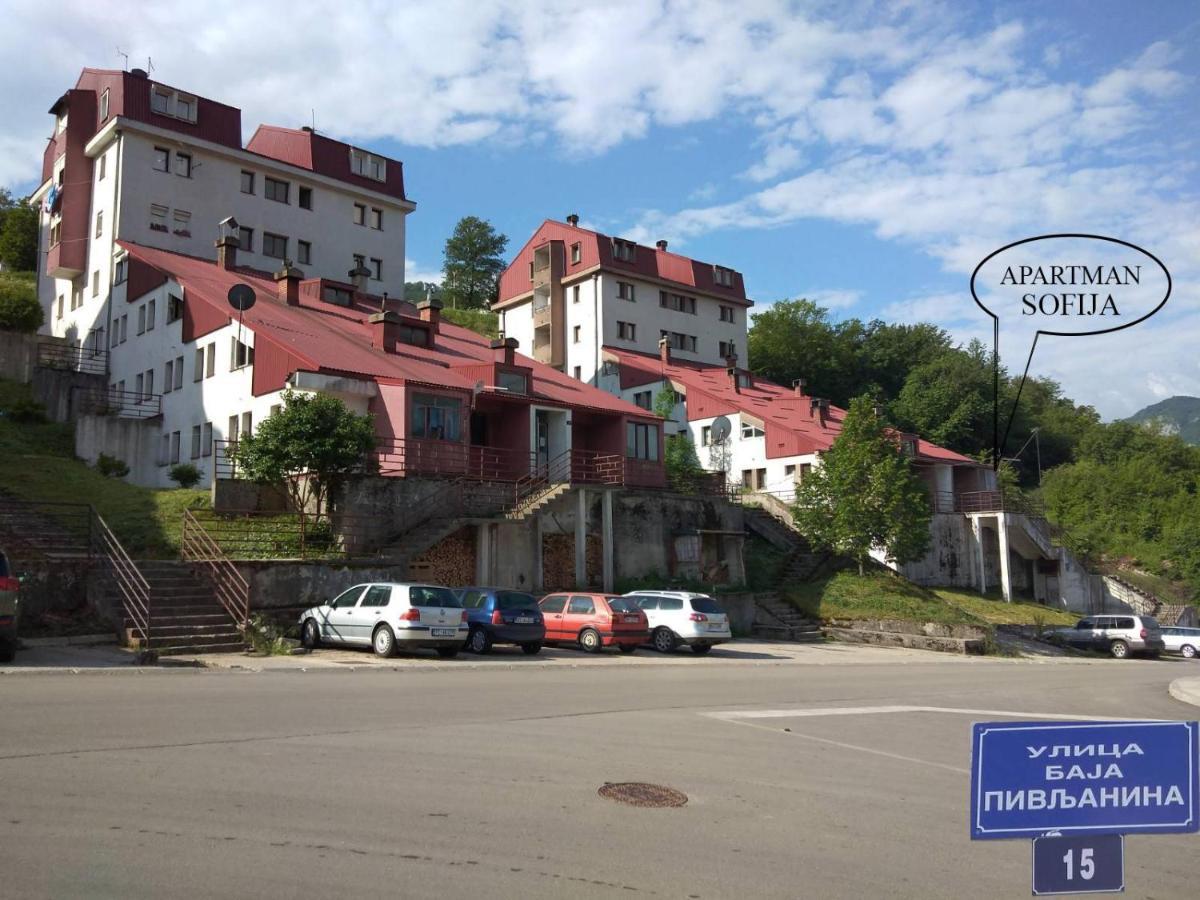 Apartman Sofija Plužine Exterior foto